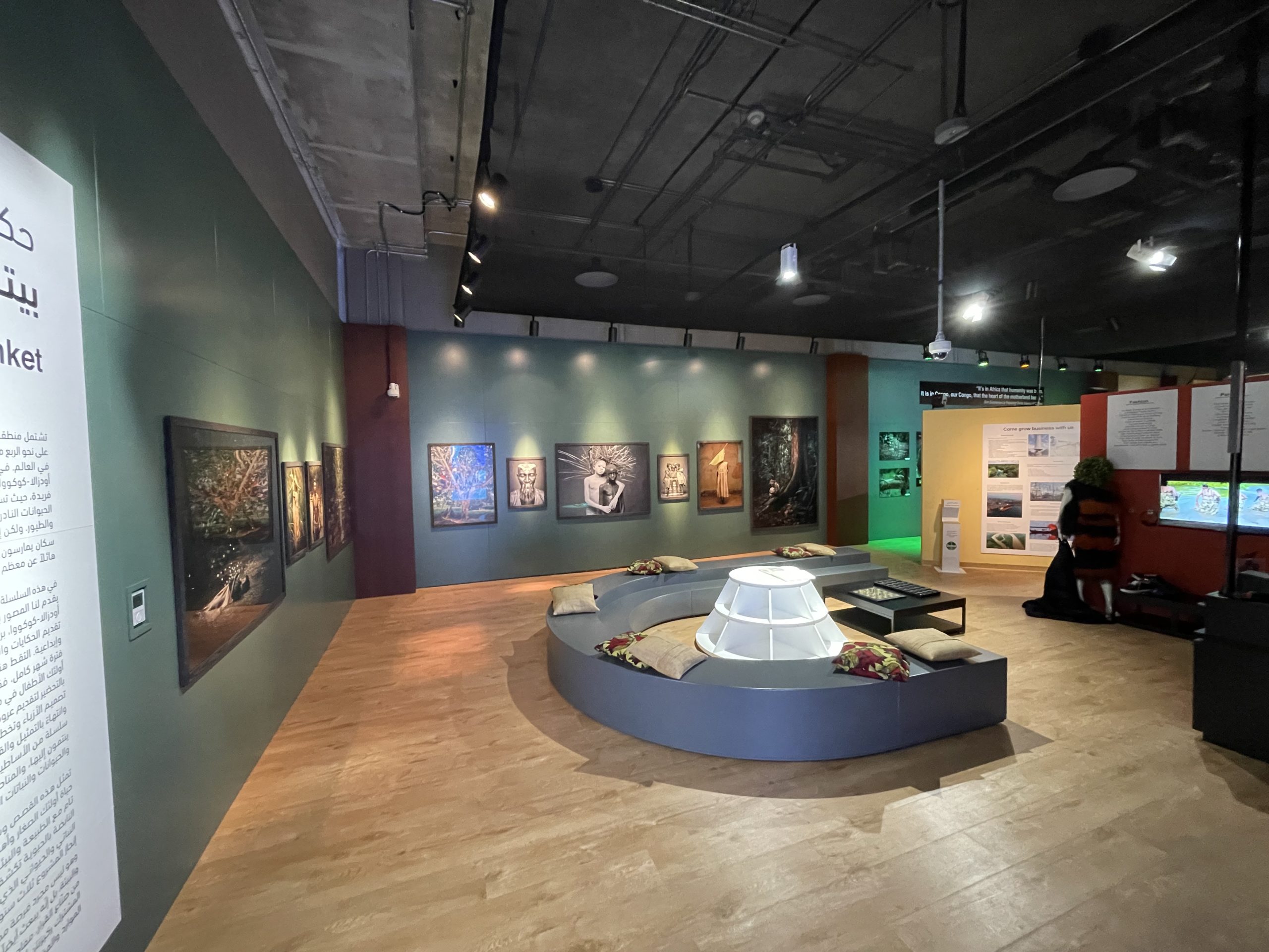 Pavillon de la République du Congo