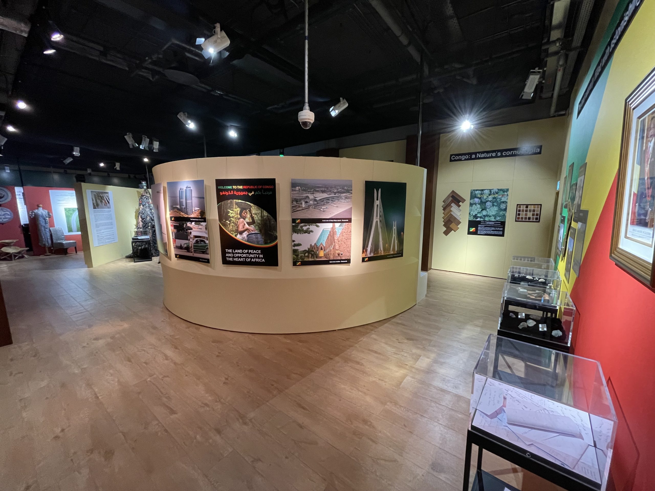 Pavillon de la République du Congo