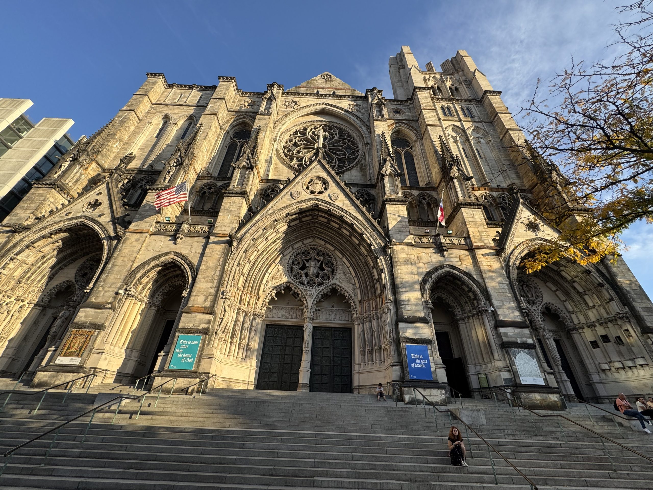 Notre Dame de Paris - New York 1